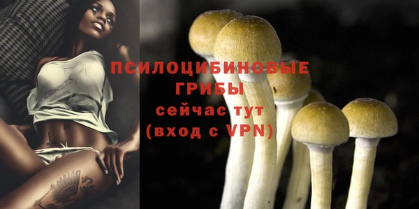 дурь Белокуриха