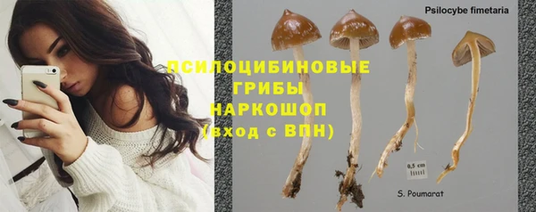 дмт Баксан
