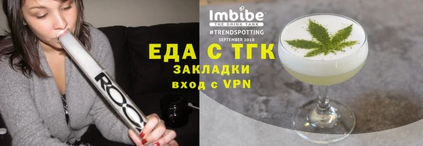 гидра Горняк
